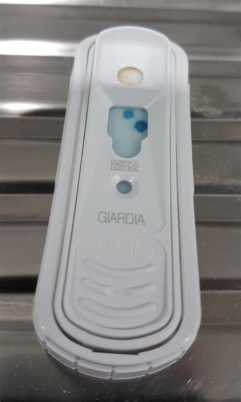 elisa test giardia|giardia elisa positive.